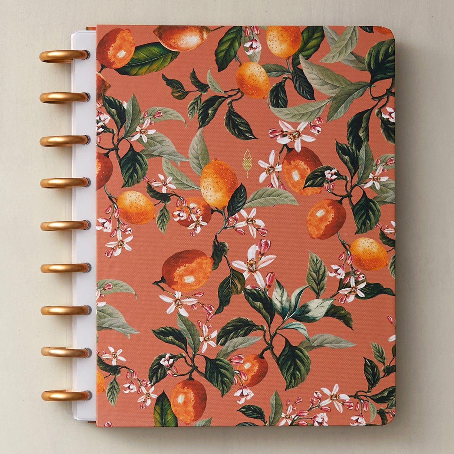 7x9 orange and floral front cover with gold discs and white-clear plastic binding