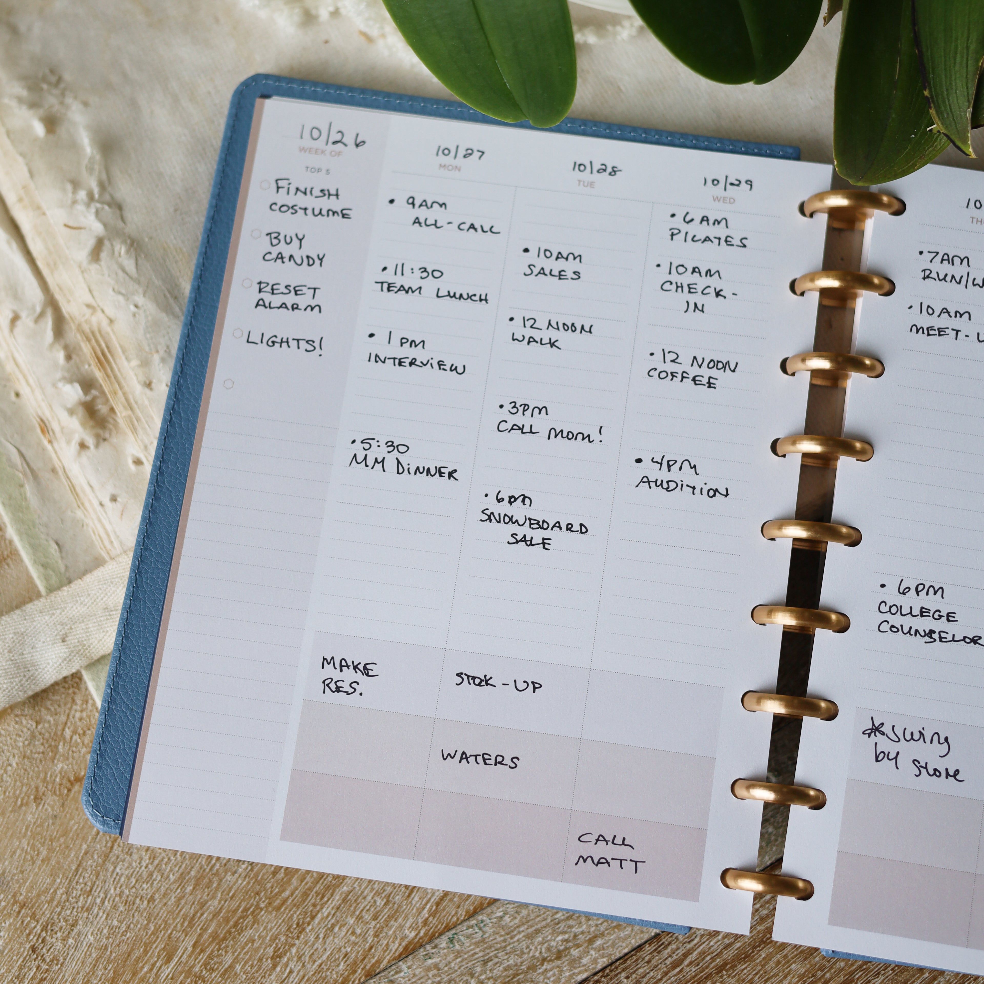 weekly spread featuring lined writing space 7x9 size
