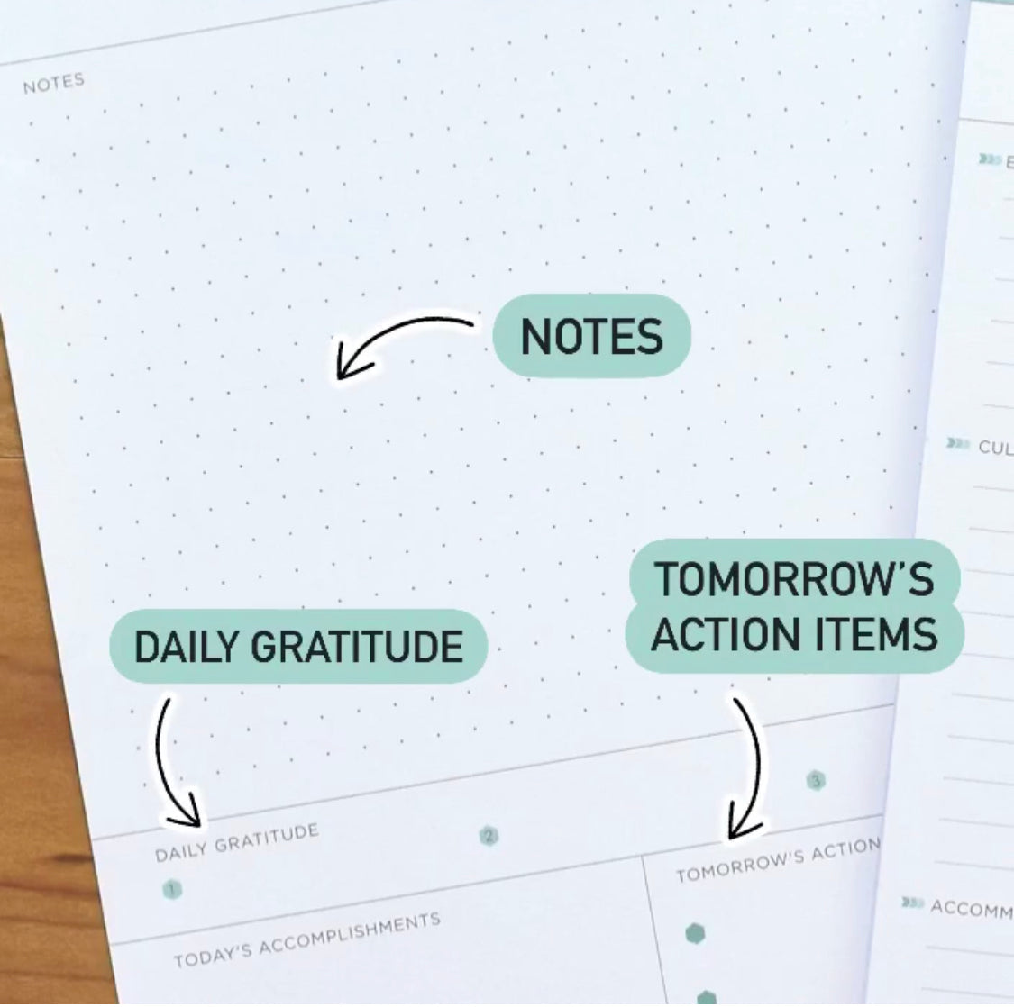 Daily Notes Target 2021 DAILY FOCUS AND GRATITUDE NOTEPAD – inkWELL Press