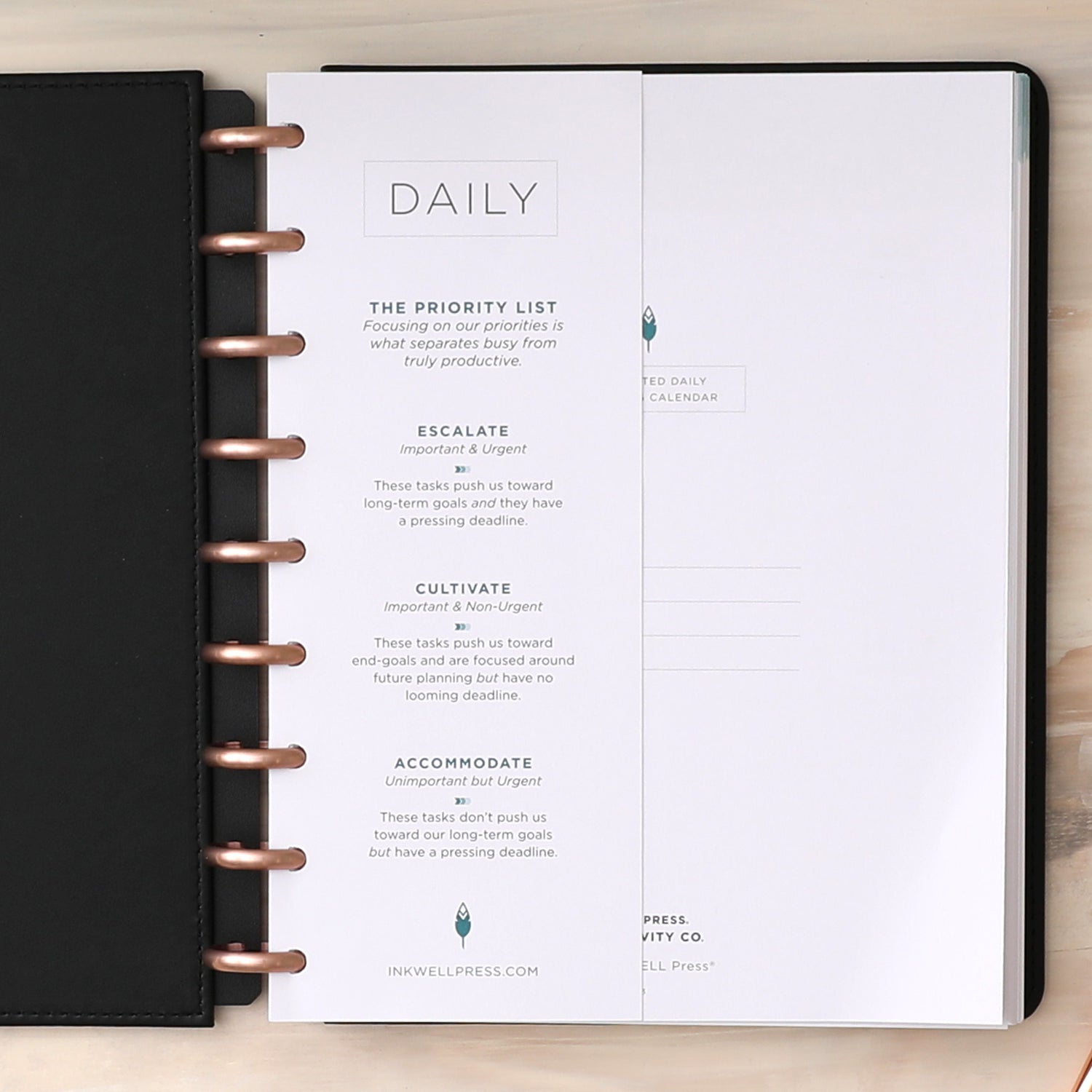 Daily Planner Insert | Undated